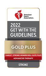 Get With The Guidelines&reg;&ndash;Target: Stroke Honor Roll Elite Plus and Advanced Therapy