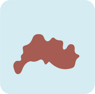 Illustration of a skin lesion