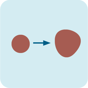 Illustration of a skin lesion