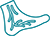 Foot with nerves icon